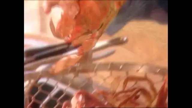 Video thumbnail for 
				 Crab Show