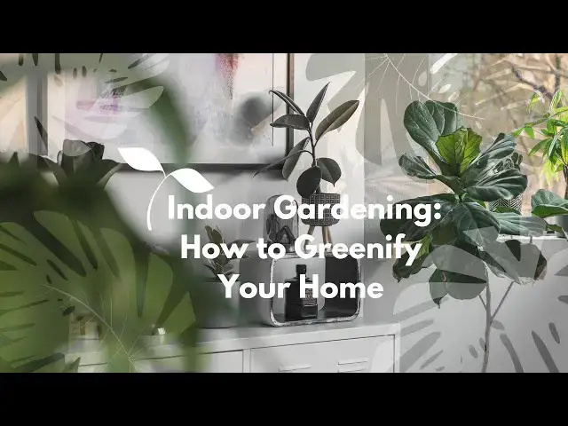 Video thumbnail for Indoor Gardening How to Greenify Your Home