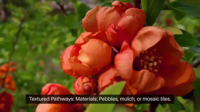 'Video thumbnail for Sensory Garden Ideas for Elderly Care'