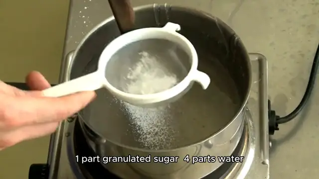 Video thumbnail for hummingbird nectar recipe