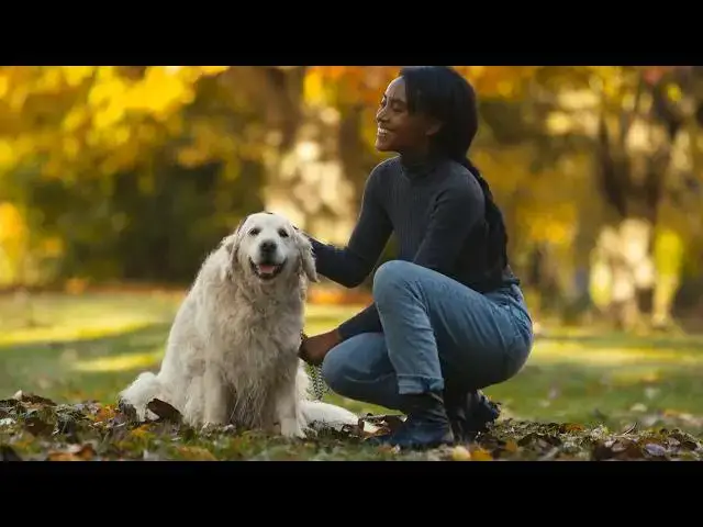 Video thumbnail for Stop Petting Your Dog’s Head – What Every Owner Needs to Know