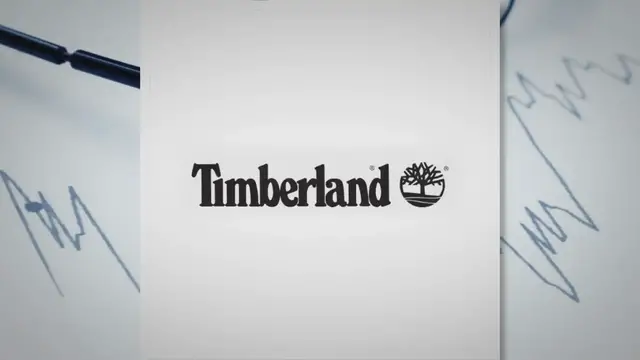 'Video thumbnail for Junior Finance Assistant (JHB CBD)'