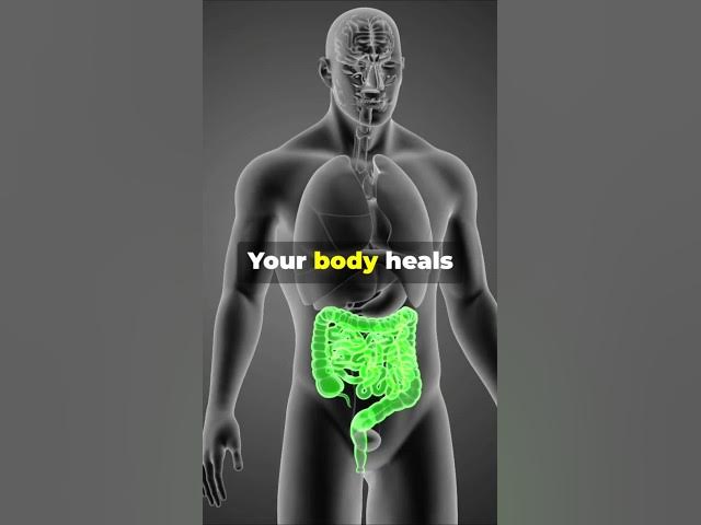Video thumbnail for Your Body Heals Itself When You’re Hungry #facts #shorts #holistichealth