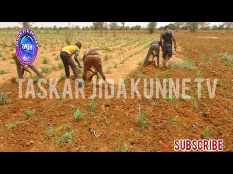 Video thumbnail for AJIHAR SOKOTO