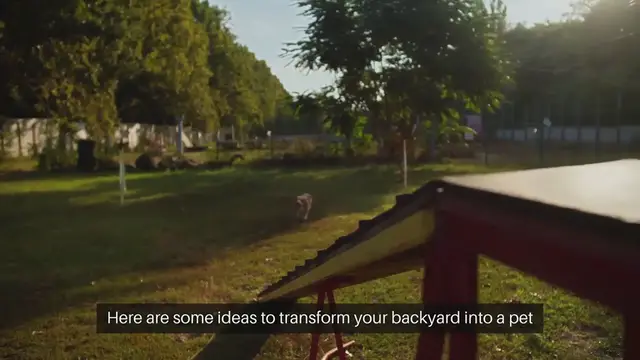 'Video thumbnail for Pet-Friendly Backyard Ideas'