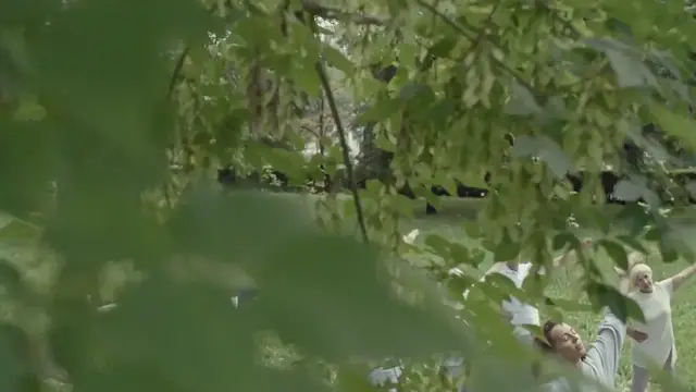 Video thumbnail for Flexibility and Yoga for Seniors