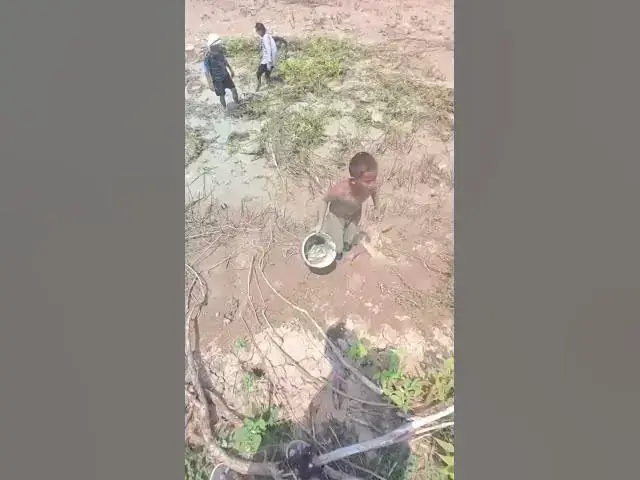 Video thumbnail for Boys catch fish in mud  #fish #shortfish #catchingfish #viralfish