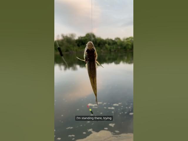 Video thumbnail for Stepping into the Weird World of Bait Shops