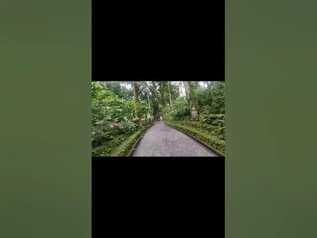 Video thumbnail for 📋 Forest Information Board — Conservation & History of Sacred Monkey Forest