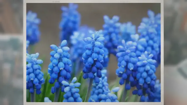 Video thumbnail for Does Wine Taste Like Grape Juice?