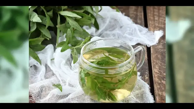 Video thumbnail for Lemon Verbena Tea, Amazing 6 Benefits of This Beverage