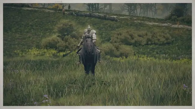 Video thumbnail for Most Underrated Weapons in Elden Ring