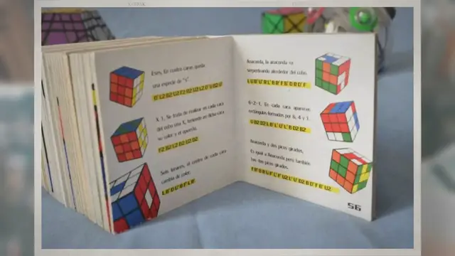 'Video thumbnail for What Are Algorithms, and Why Are They Important?'