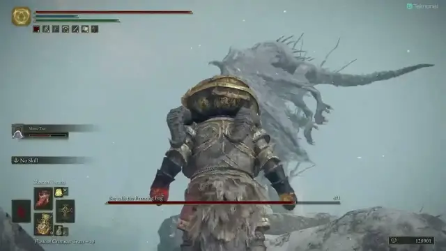 Video thumbnail for Elden Ring Mimic Tear Solo Borealis the Freezing Fog Boss Fight