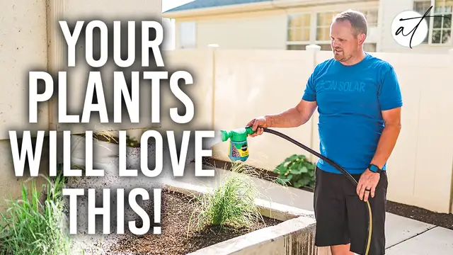 Video thumbnail for This Viral Mixture Is THE Answer To How To Make Plants Grow Faster!