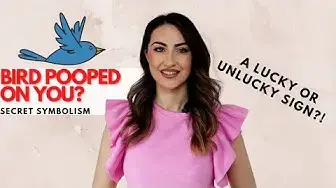 'Video thumbnail for Bird Pooped On You? Lucky or Unlucky Sign?!'