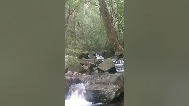 Video thumbnail for Knuckles mountain range #shorts