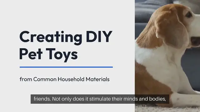 Video thumbnail for DIY Pet Toys from Home Materials