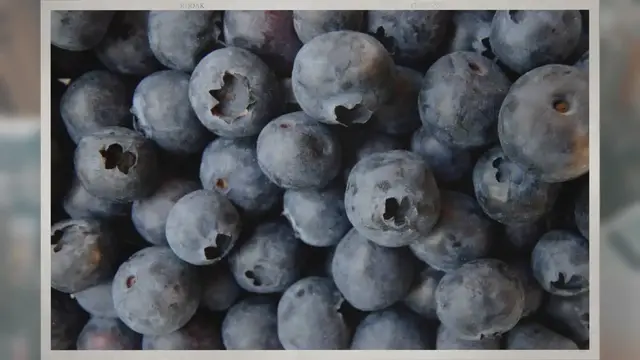 Video thumbnail for Do Blueberries Have Seeds?