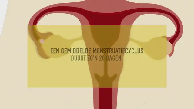 'Video thumbnail for Ovulatie voelen of testen'