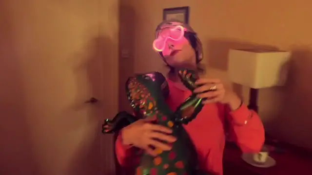 Video thumbnail for Trailer - Ladybirds.mp4