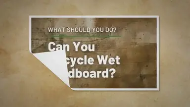 'Video thumbnail for Can You Recycle Wet Cardboard?'