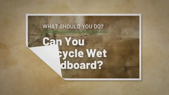'Video thumbnail for Can You Recycle Wet Cardboard?'