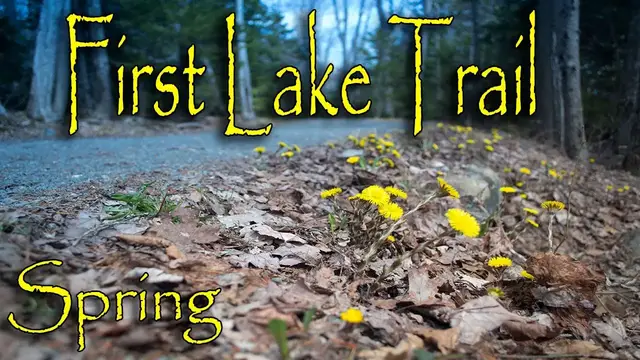 Video thumbnail for Early Spring - First Lake Trail, Sackville Lakes Provincial Park