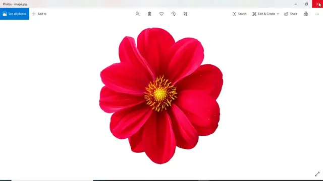 Video thumbnail for Node.js ImageMagick Image Processing Library Demo with  Example
