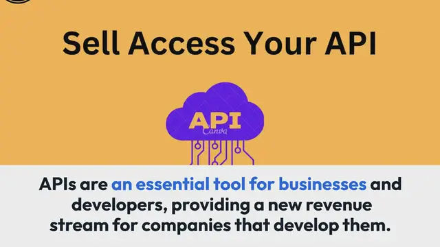 Video thumbnail for How To Make Money Using API Best Methods