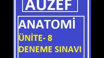 Video thumbnail for Anatomi Ünite -8 Deneme Testi ve notlar(Periferik Sinir Sistemi)