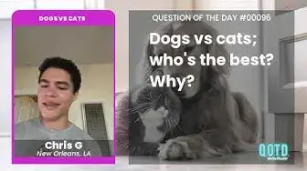 Video thumbnail for For Chris, a cat-dog is the best option. By far!