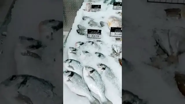 Video thumbnail for Seafood in Qatar and their prices... #ExploreQatar