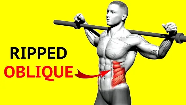 Video thumbnail for 20 fabulously EFFECTIVE Oblique Exercises To Get Ripped Oblique
