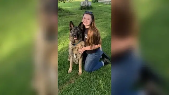 Video thumbnail for Search And Rescue Dog Missing