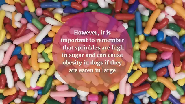 'Video thumbnail for Can Dogs Eat Sprinkles? Beware of These Harmful Ingredients'