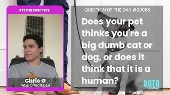 Video thumbnail for Chris's dog tries to sit and watch movies like a fellow human. How cute!