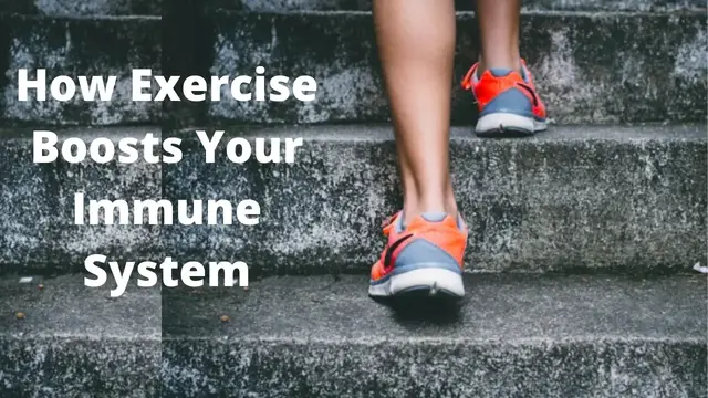 Video thumbnail for How Exercise Boosts Your Immune System