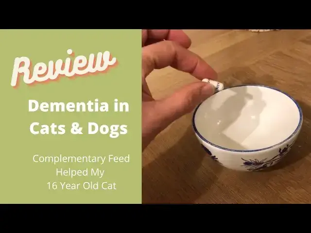 Video thumbnail for Dementia in Cats & Dogs  - What Natural Feed Can Help Their Memory?
