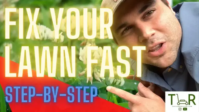 Video thumbnail for Get Rid Of Clover, Dandelion, & Other Weeds FAST