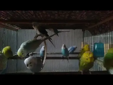 'Video thumbnail for 부드러운 움직임, 깊은 교감 🫶'