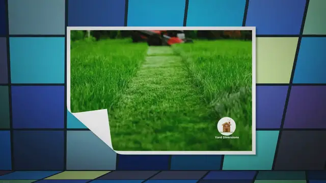 Video thumbnail for From Basics to Application: A Guide to Choosing the Right Lawn Fertilizer