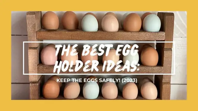 Video thumbnail for The Best Egg Holder Ideas: Keep The Eggs Safely! (2023)