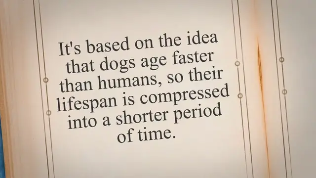 'Video thumbnail for Unraveling the Age Mystery: Dog Years Demystified - From Concept to Calculation'