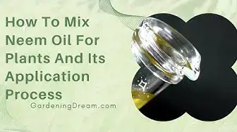 Video thumbnail for How To Mix Neem Oil For Plants And Its Application Process