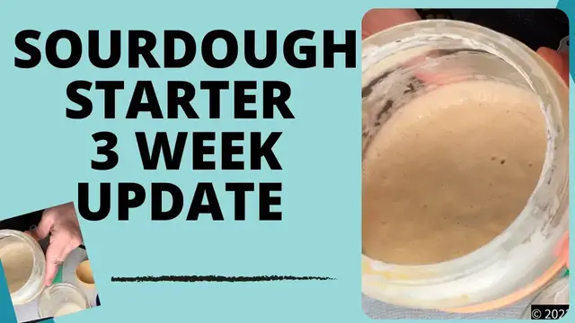 Video thumbnail for Sourdough Starter Three Week Update