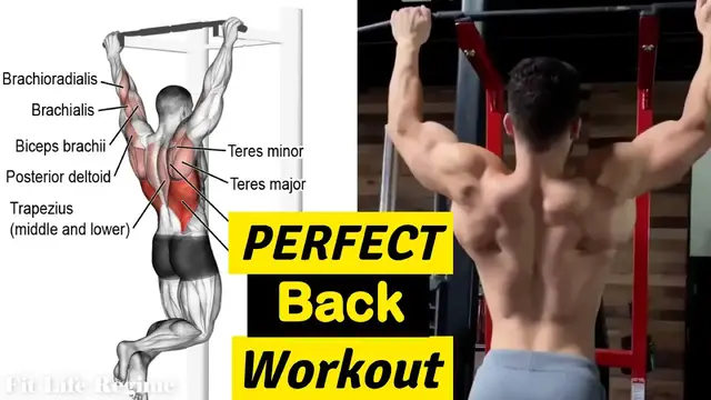 Video thumbnail for How to Grow a wider back fast.