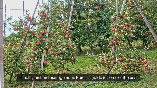 Video thumbnail for Disease Resistant Fruit Trees