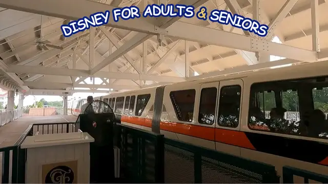 Video thumbnail for Improving The Disney Parks Experience Disney For Adults & Seniors