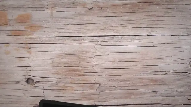 Video thumbnail for Why Cat Zoomies Happens & What You Can Do?